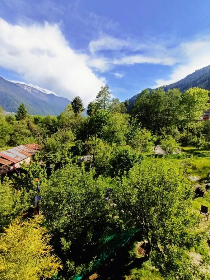 Rashpa Cottage Manāli Zewnętrze zdjęcie